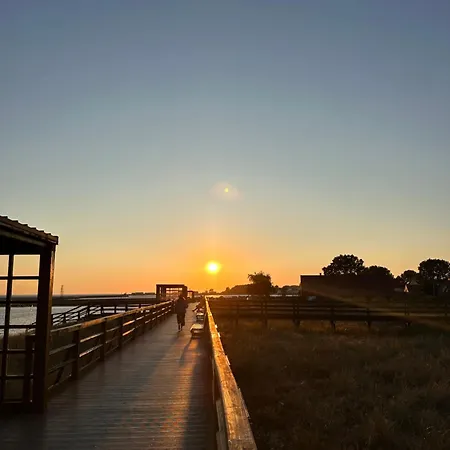 3 Przy Parku W Helu Appartamento